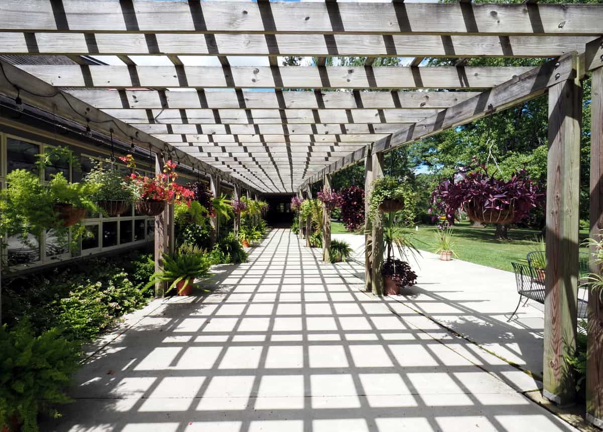 Timber pergola walkway casting shade over a garden path