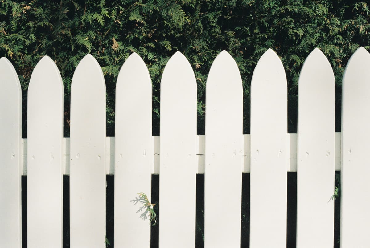 White timber picket fence in front of a green hedge